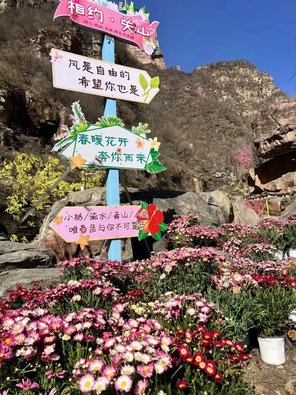 新乡南太行|一路繁花 春山如画，我们一起出游吧