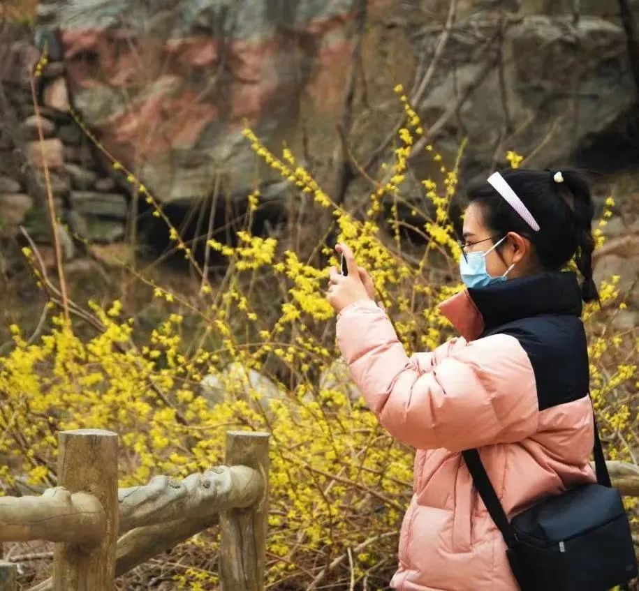 新乡南太行|一路繁花 春山如画，我们一起出游吧