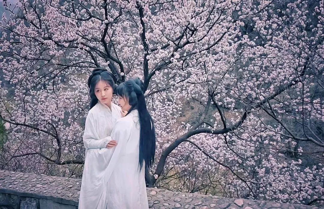 新乡南太行|一路繁花 春山如画，我们一起出游吧