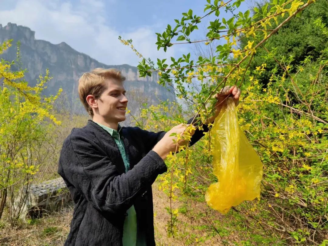 2024年百泉药交会暨南太行中医药旅游文化节盛大开幕！