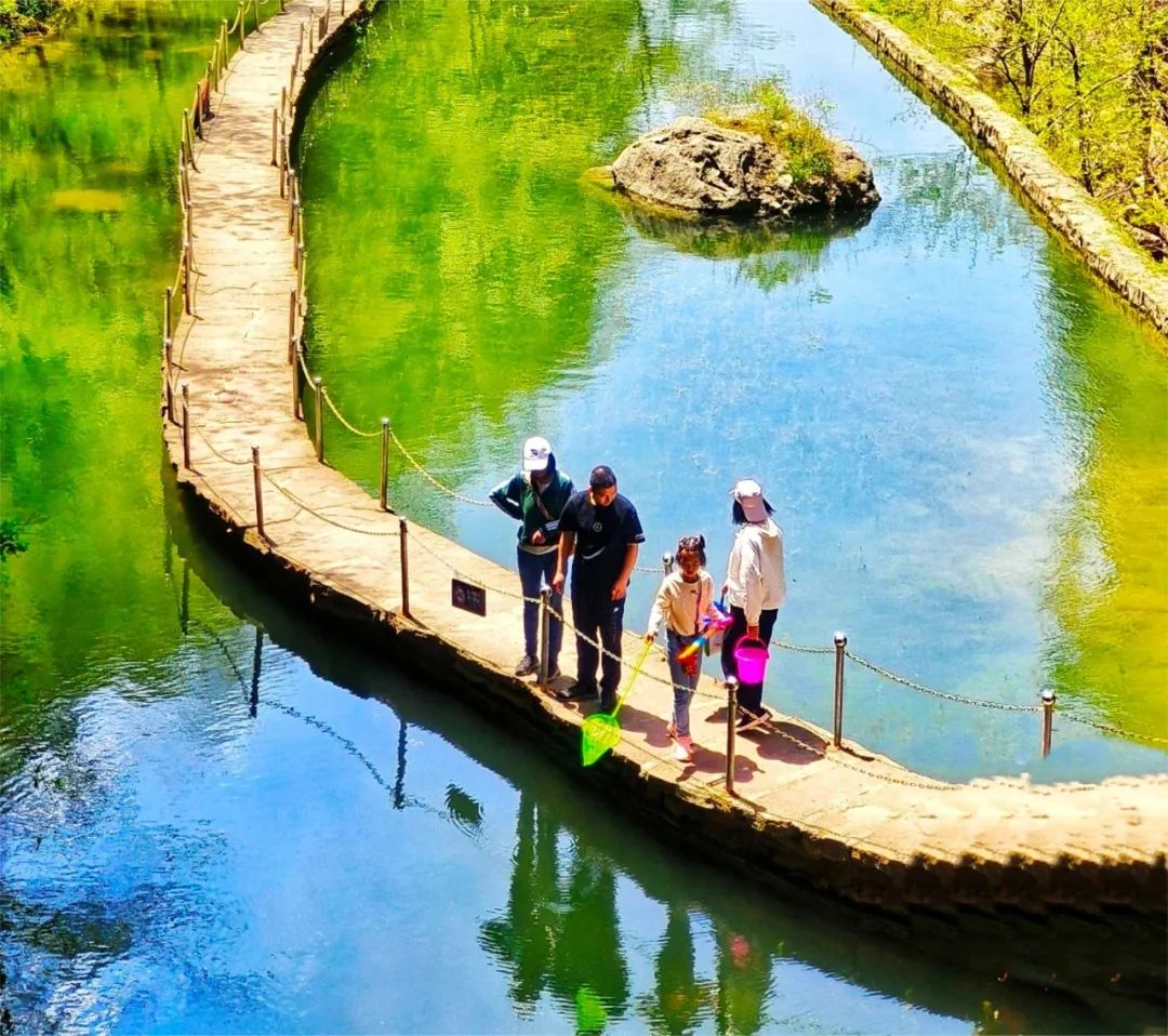 “宠”妈献礼，悦享时刻！母亲节带妈妈来一场说走就走的旅行