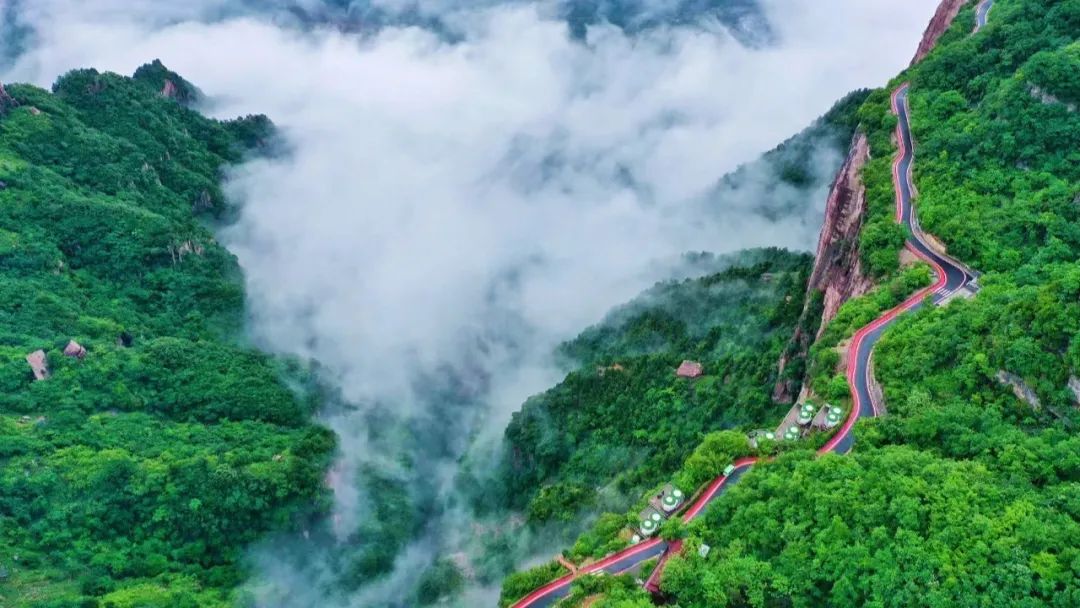 5.19中国旅游日免门票|一起来看夏日薄荷曼波绿色的新乡南太行吧