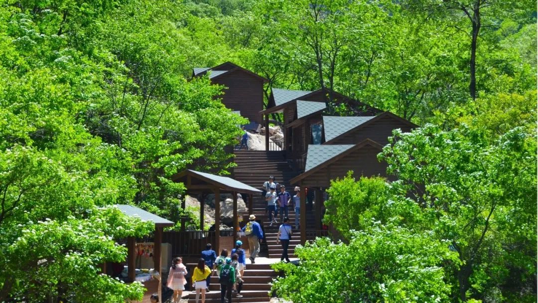 5.19中国旅游日免门票|一起来看夏日薄荷曼波绿色的新乡南太行吧