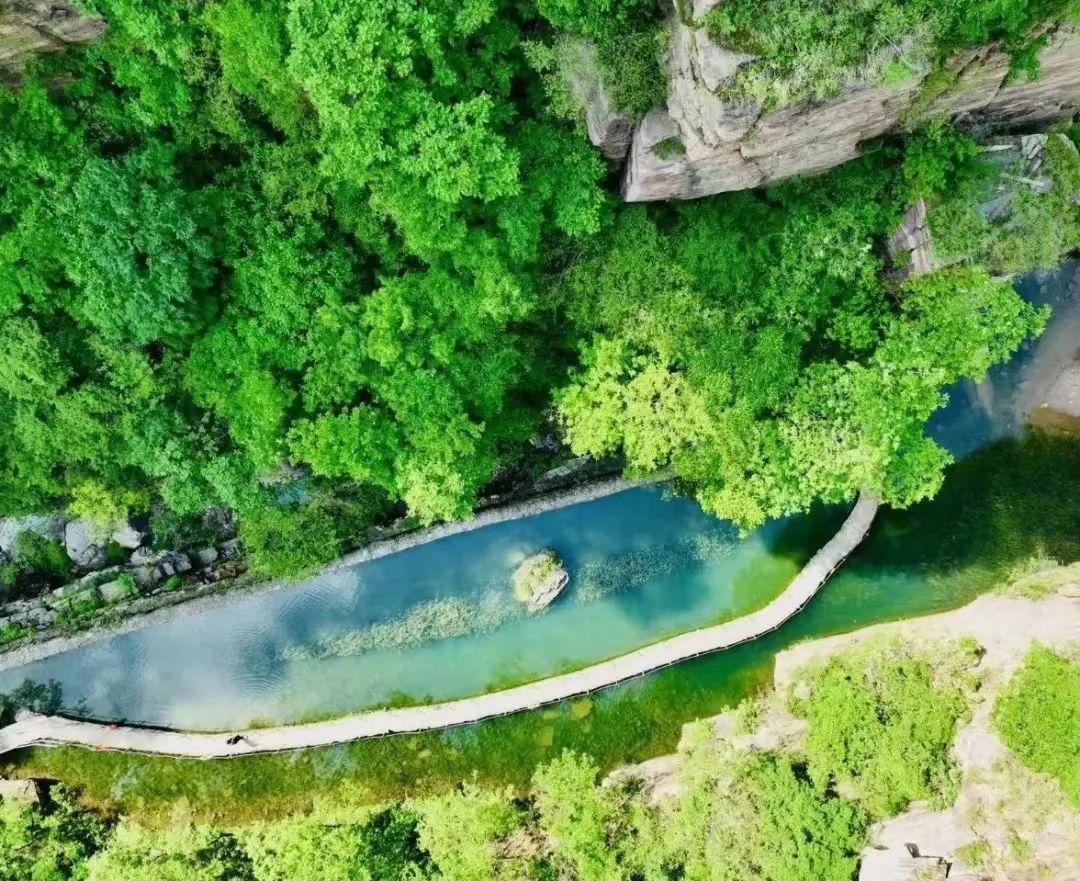 5.19中国旅游日免门票|一起来看夏日薄荷曼波绿色的新乡南太行吧