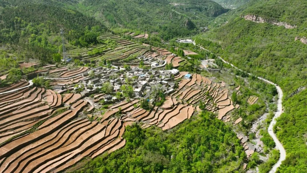 5.19中国旅游日免门票|一起来看夏日薄荷曼波绿色的新乡南太行吧