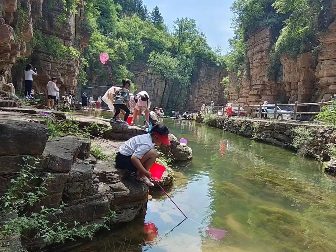 夏至|来新乡南太行觅清凉 赏瀑布 观云海！