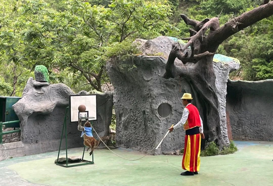 用国际化传播新乡旅游，韩国李艾斯特教授受聘南太行旅游推广大使！