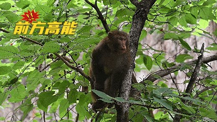 跟着《黑神话：悟空》游新乡南太行，是时候直面天命了→