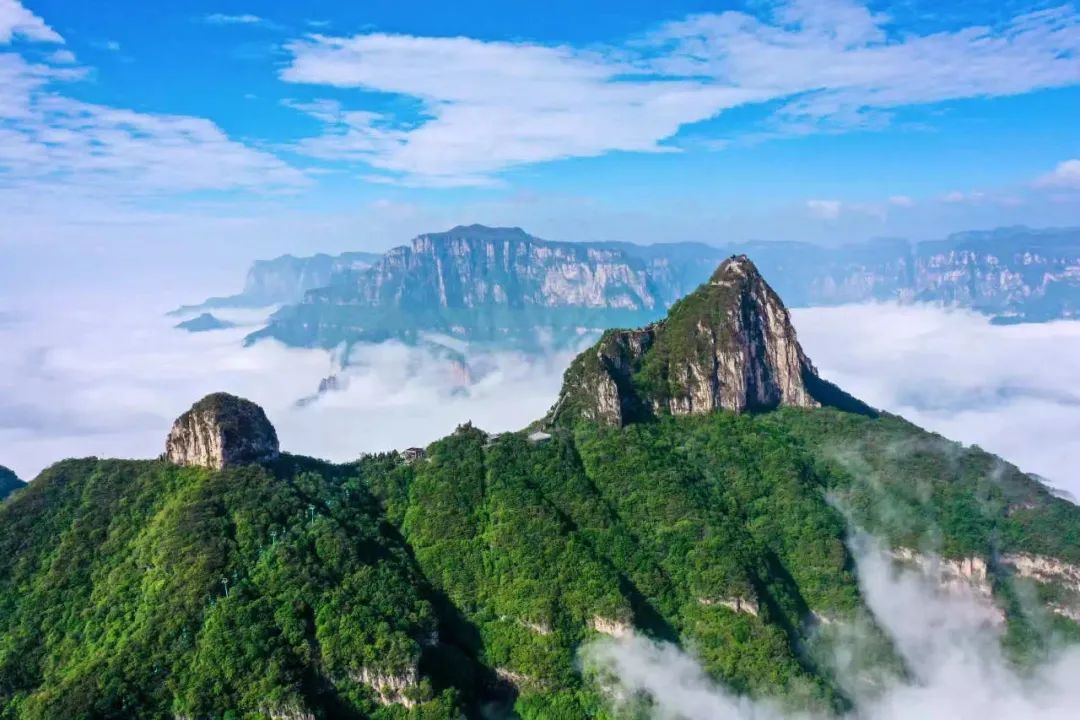 常回家看看|新乡南太行向奥运健儿刘清漪发出最诚挚的邀请！