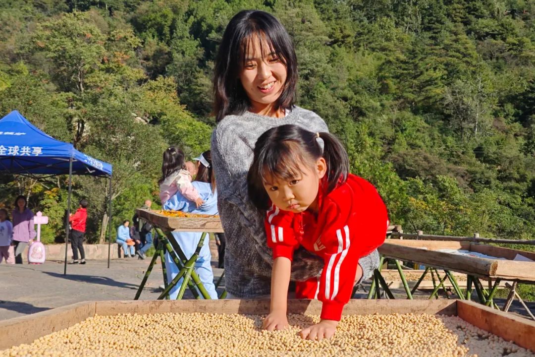 秋沟·齐王寨红叶迎来最佳观赏期，门票福利放送中→