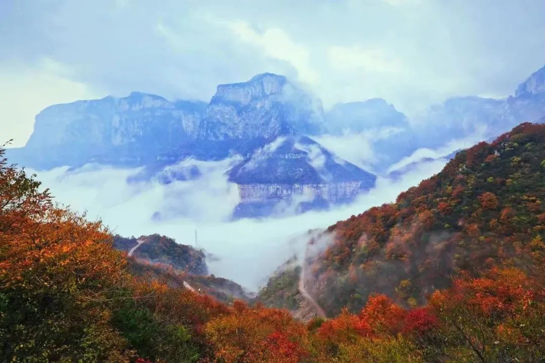新乡南太行|红叶和云海相遇，惊艳了一整个秋季