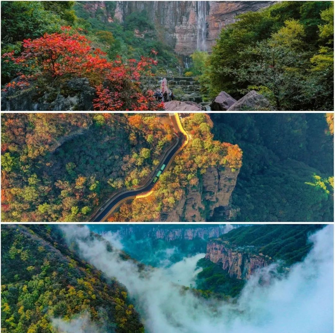 新乡南太行|红叶和云海相遇，惊艳了一整个秋季