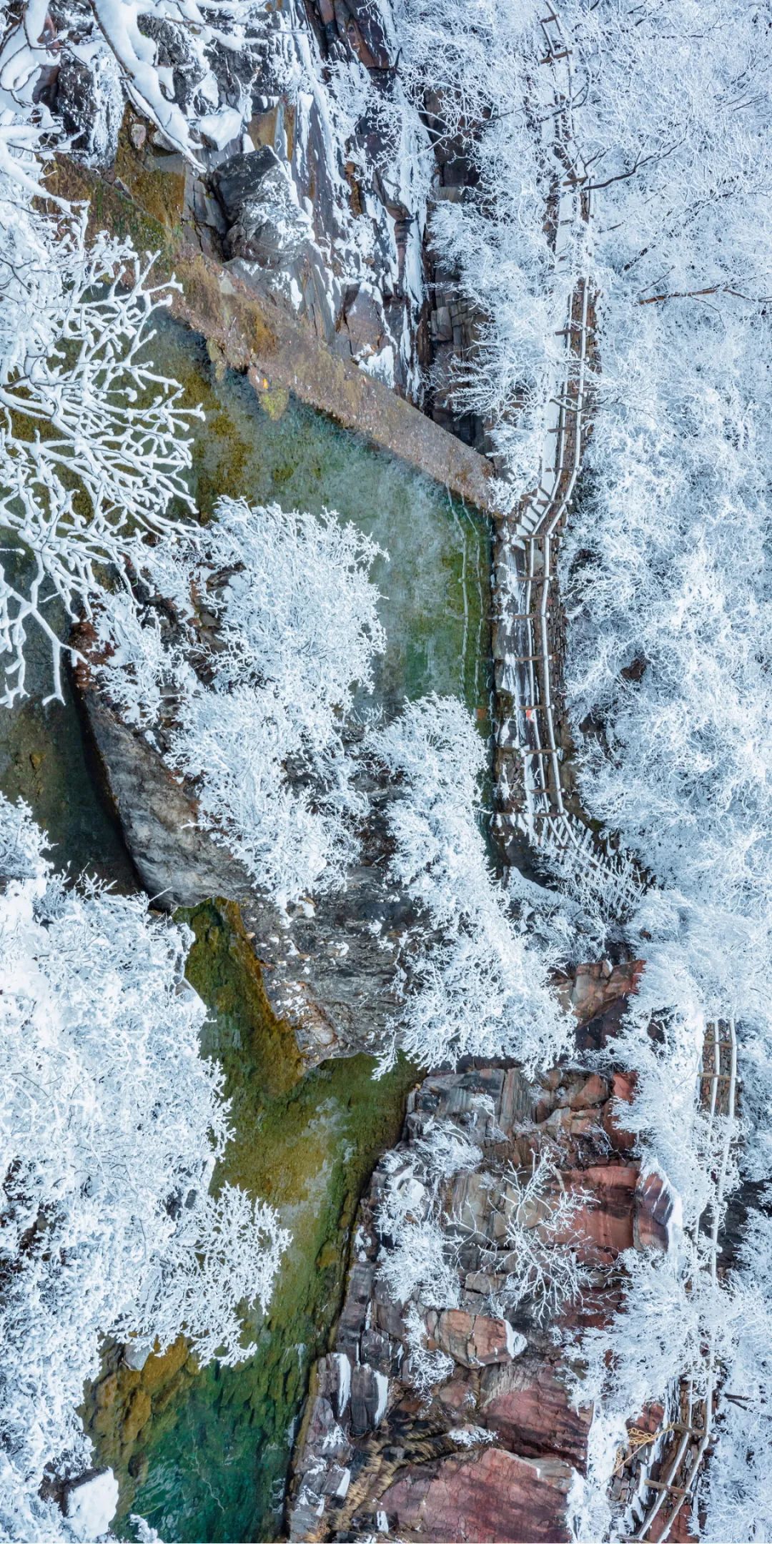 小雪，落雪为念，新乡南太行冬日浪漫即将上线！