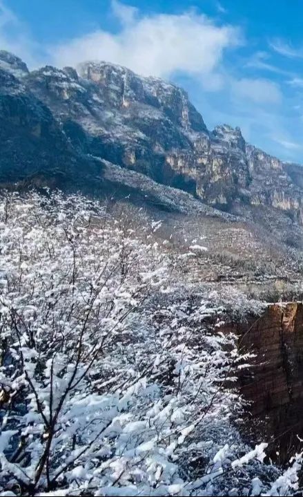 小雪，落雪为念，新乡南太行冬日浪漫即将上线！