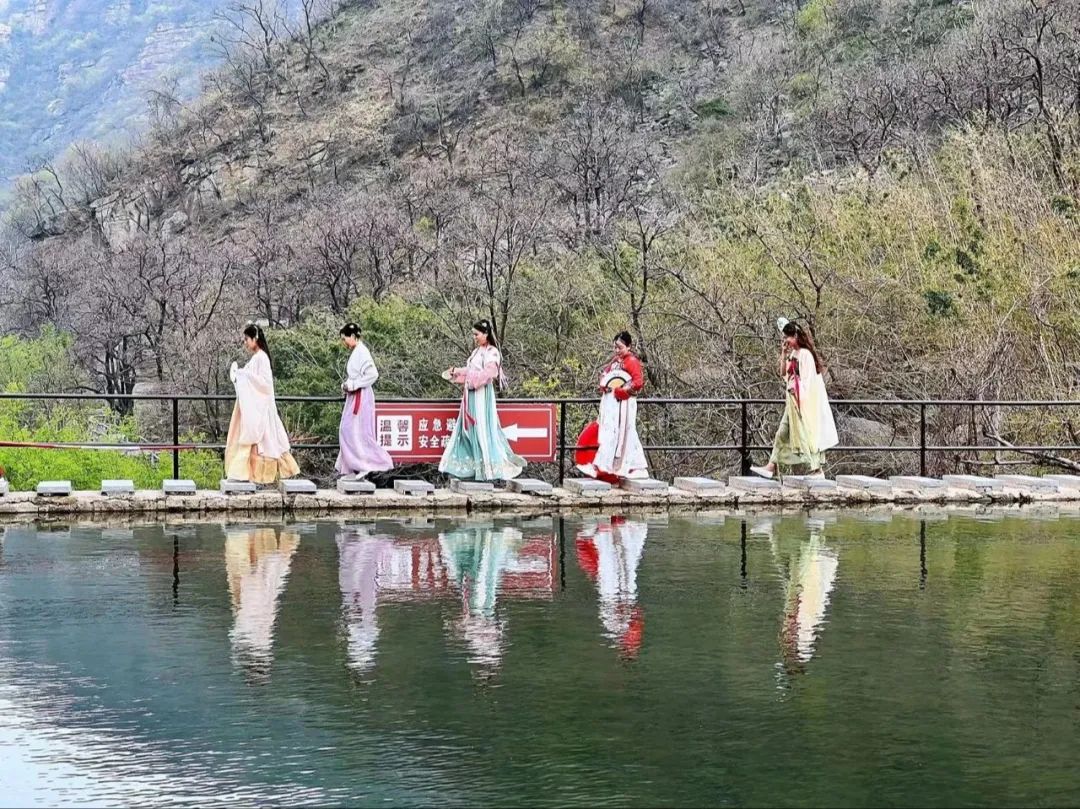 我在新乡南太行加入了大自然的神秘“群聊”！