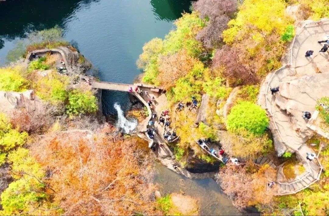 我在新乡南太行加入了大自然的神秘“群聊”！