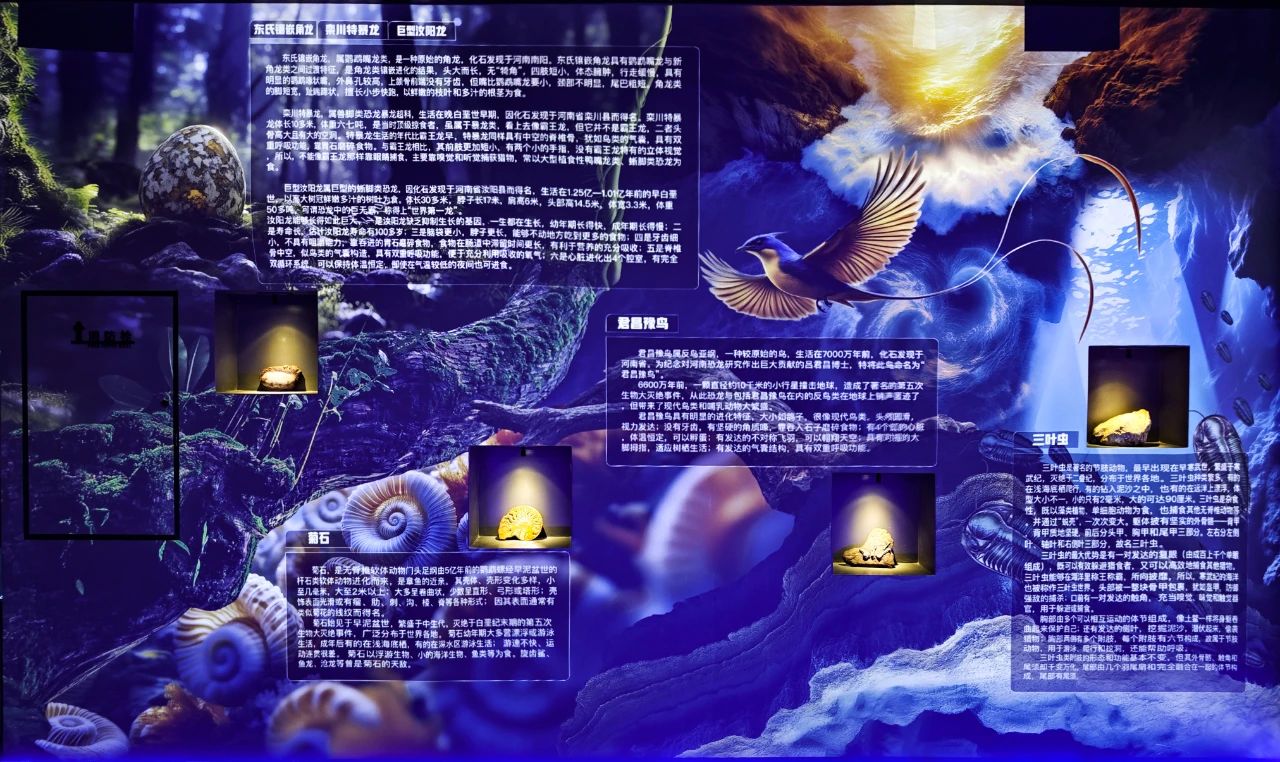 解锁关山地质奥秘 踏上知识科技奇旅