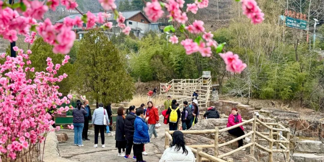 春分限定！新乡南太行“顶流花事”上线