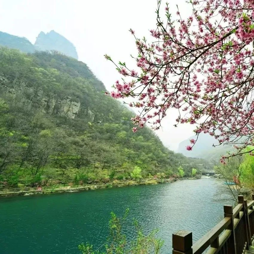 春日新乡南太行，色彩斑斓的浪漫之境！
