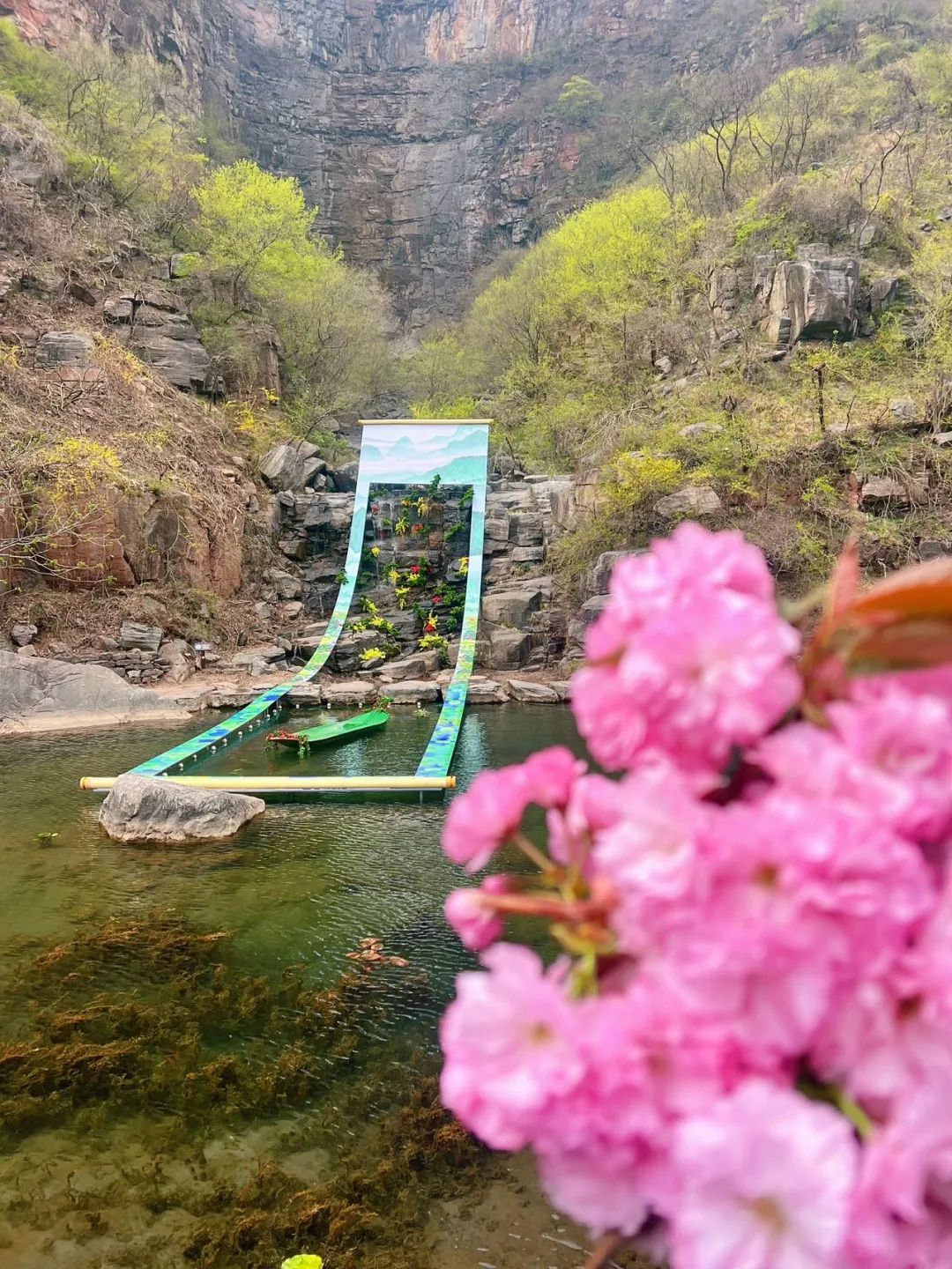 【春日限定】关山景区邀您共赴“金色花海”！打卡网红地标、解锁亲子课程，邂逅南太行的春天