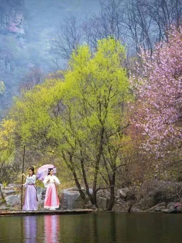 看看你镜头里的新乡南太行之春