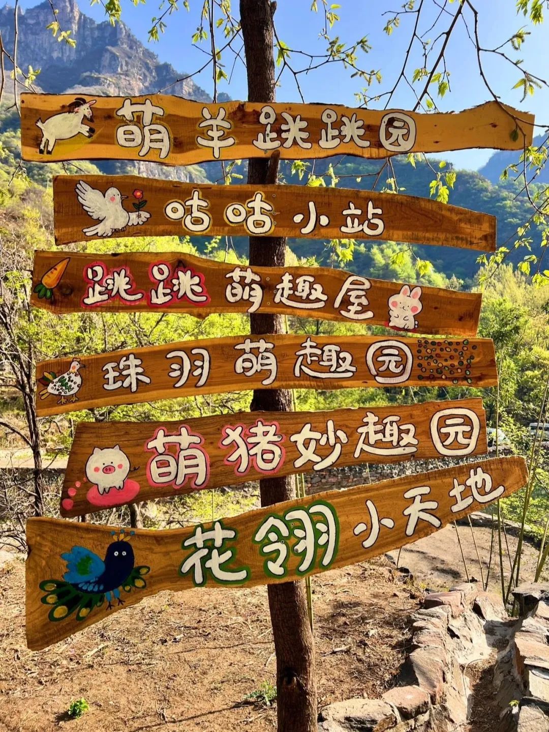 N刷不腻的爆款玩法！请查收新乡南太行春日必打卡清单！