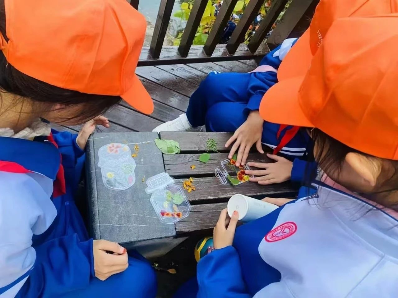 把课堂搬进新乡南太行，开启别样研学之旅！