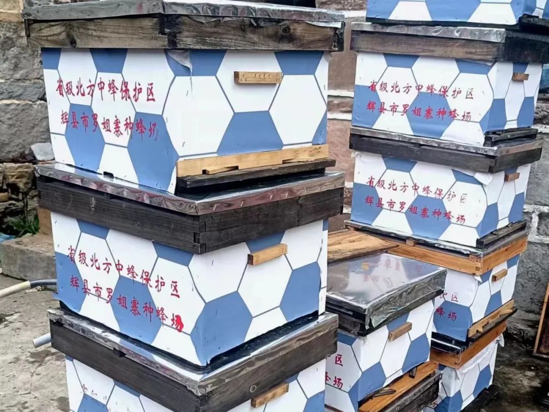 五一遛娃神地！新乡南太行超燃玩法＋限时福利+节日彩蛋，嗨翻假期！