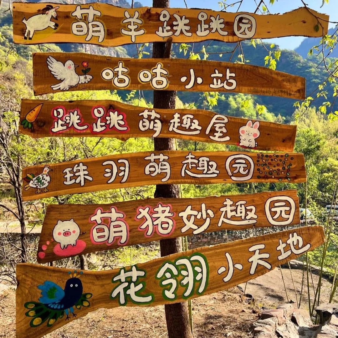 五一遛娃神地！新乡南太行超燃玩法＋限时福利+节日彩蛋，嗨翻假期！