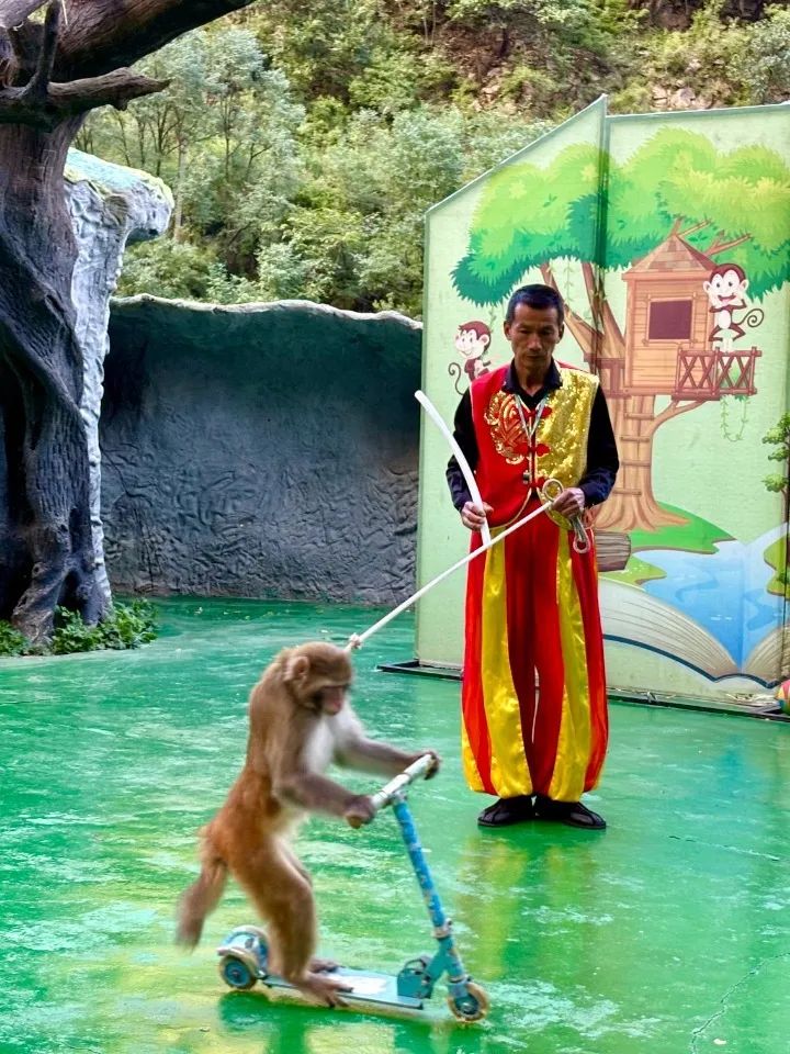 五一新乡南太行开外挂！狂刷副本解锁假期高光时刻