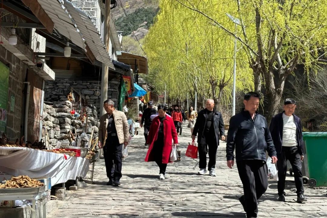 麻溜冲！初夏限定浪漫已加载完毕！
