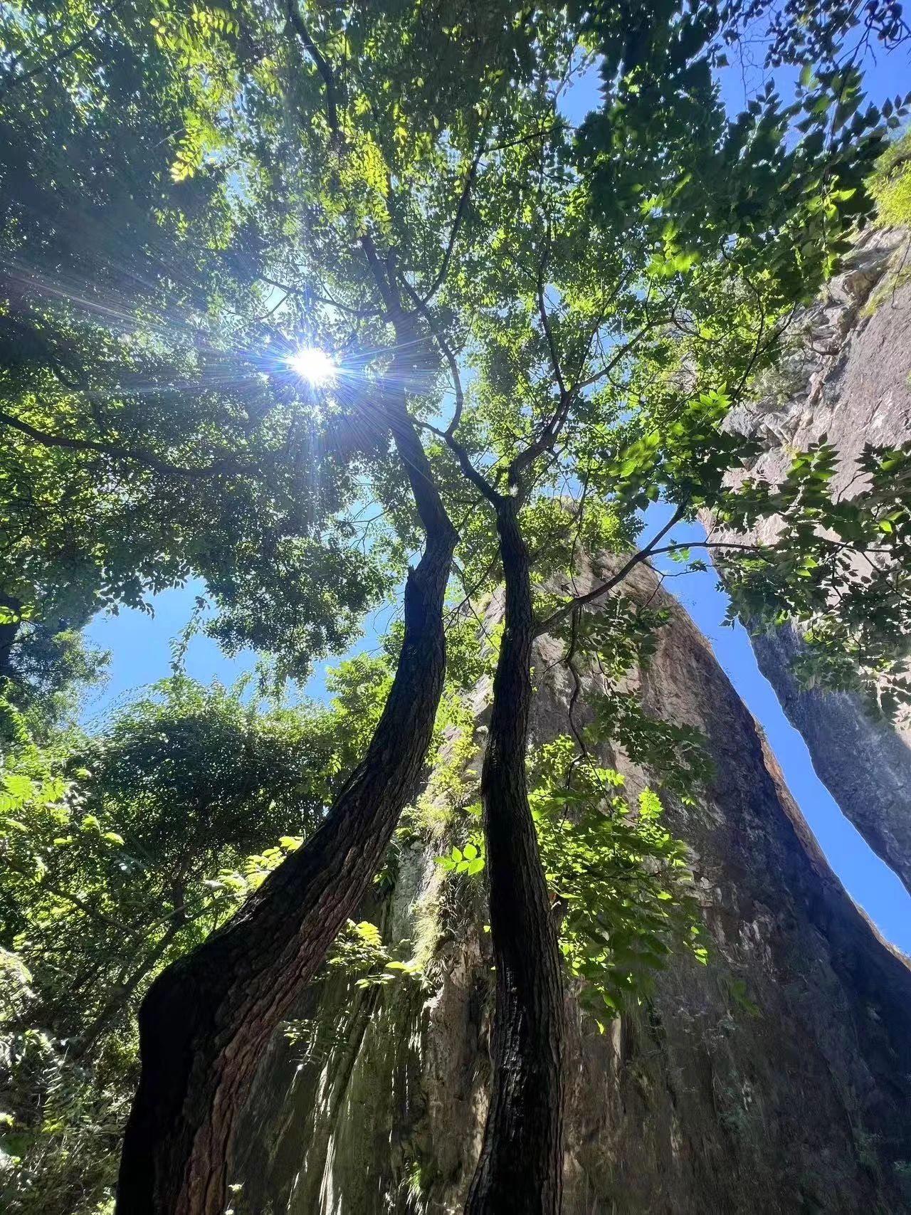被低估的宝藏景区，新乡南太行关山