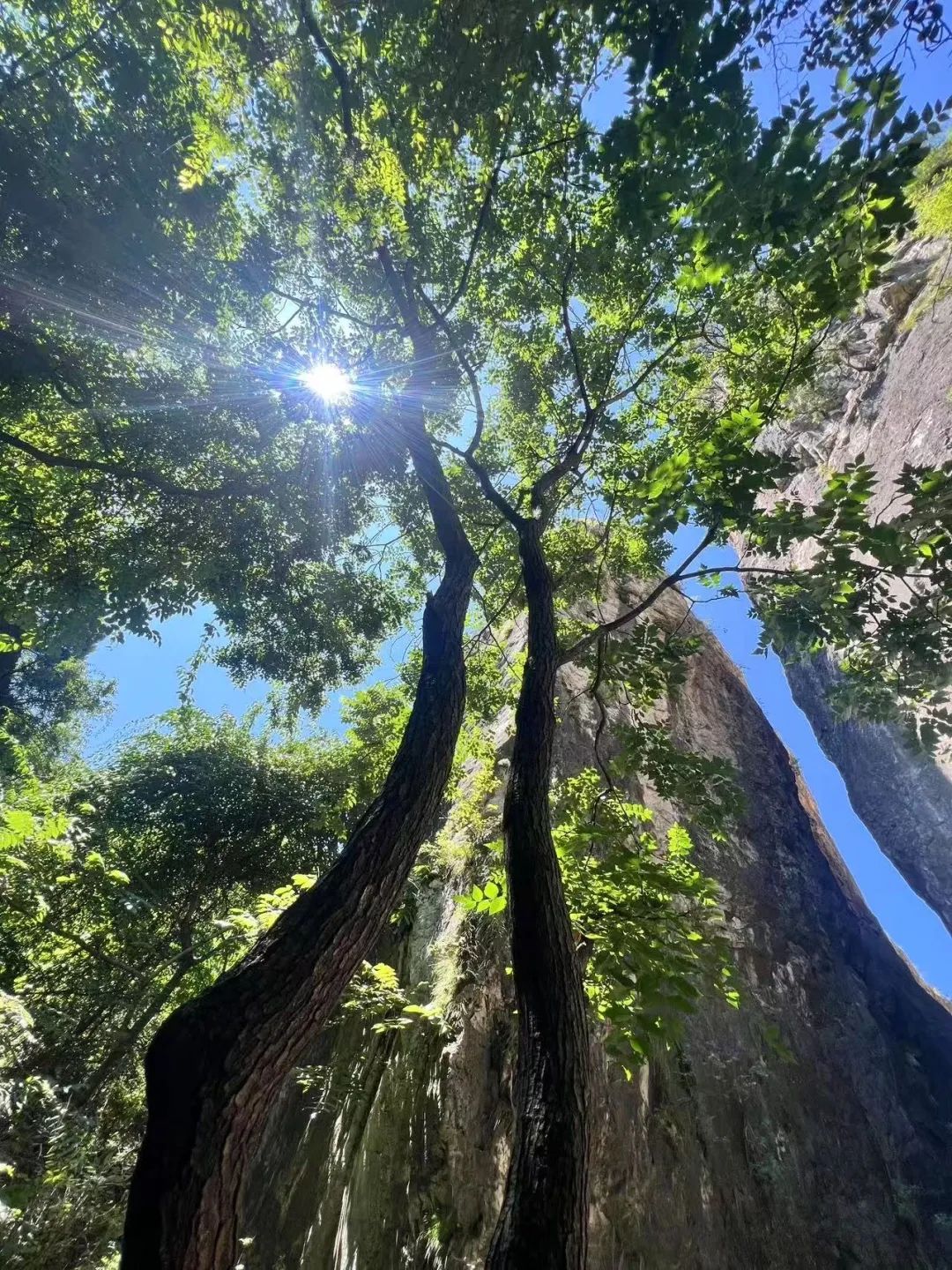 26℃原始剧本已开启！关山漂流+水滑+秘境，本周末浪到飞起！