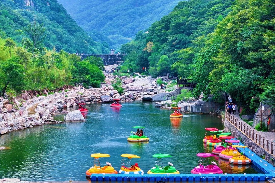 逃离补习班！带娃住进南太行山野民宿，看星星抓萤火虫！