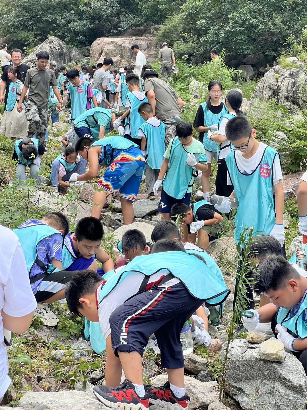 逃离补习班！带娃住进南太行山野民宿，看星星抓萤火虫！