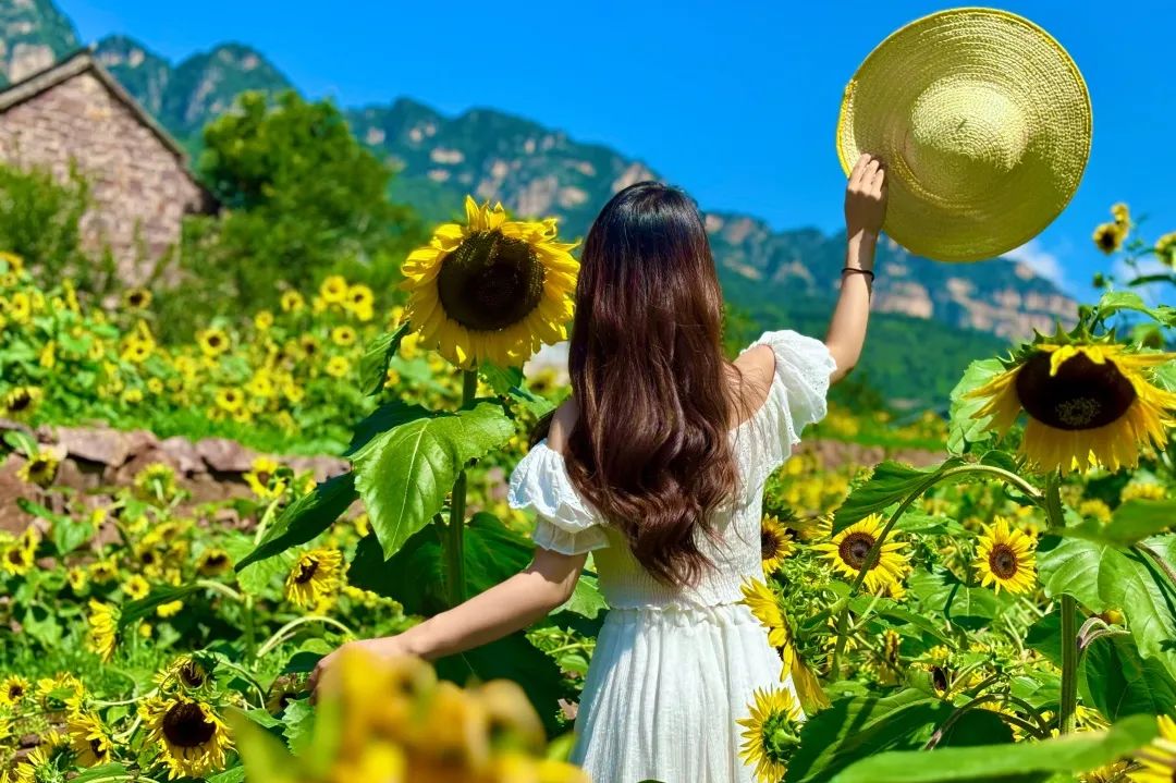 逃离补习班！带娃住进南太行山野民宿，看星星抓萤火虫！