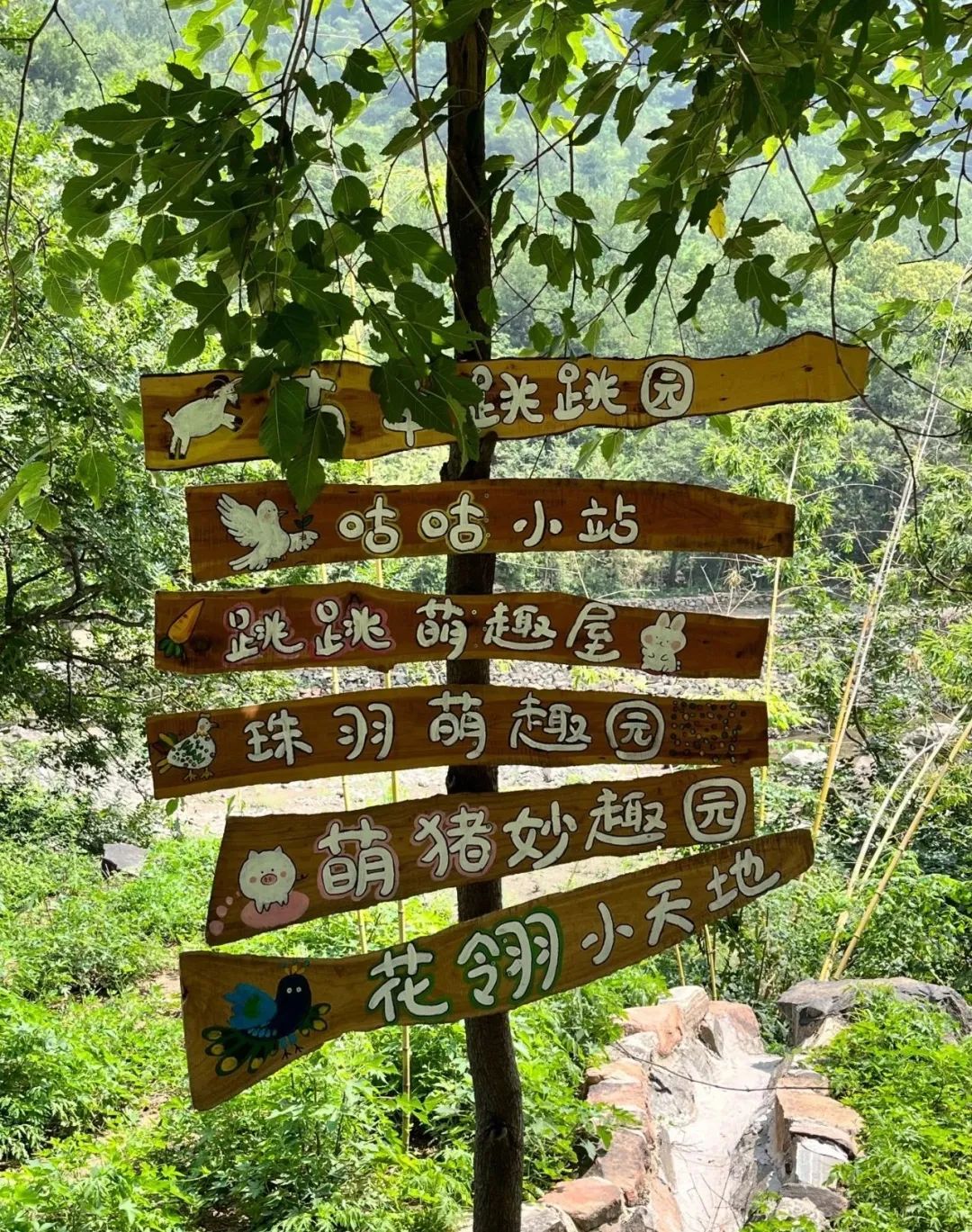 这里 藏着一个山水秘境——新乡南太行