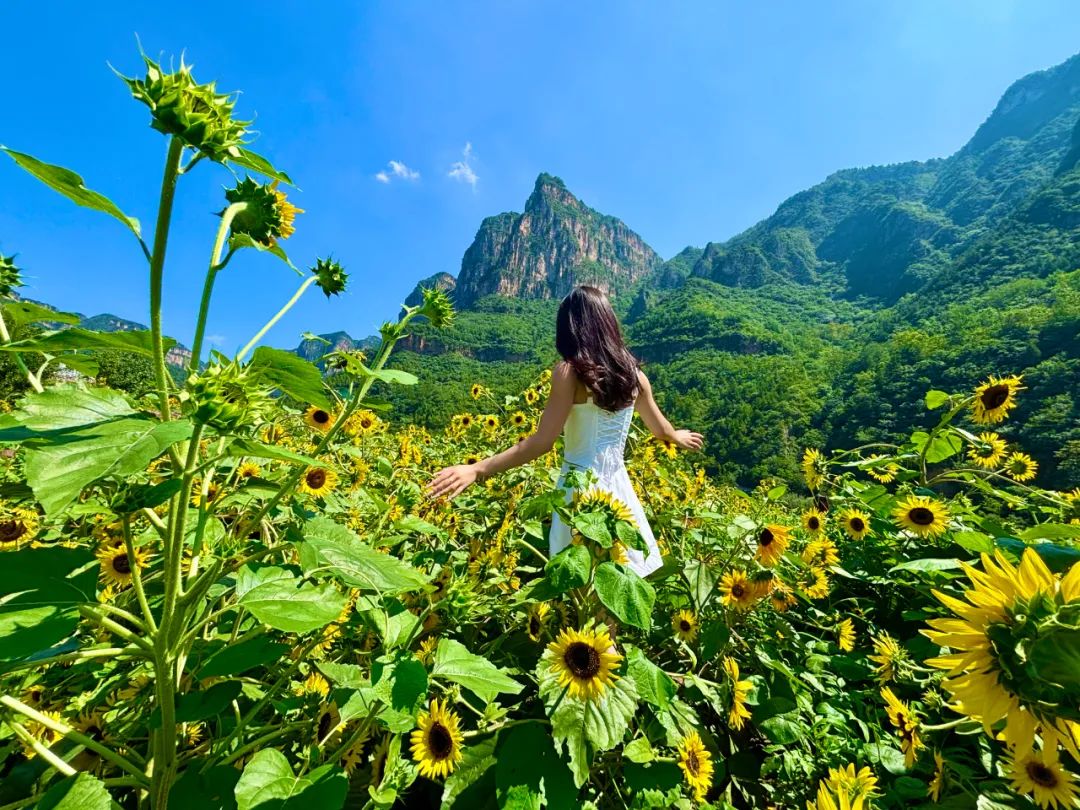 这里 藏着一个山水秘境——新乡南太行