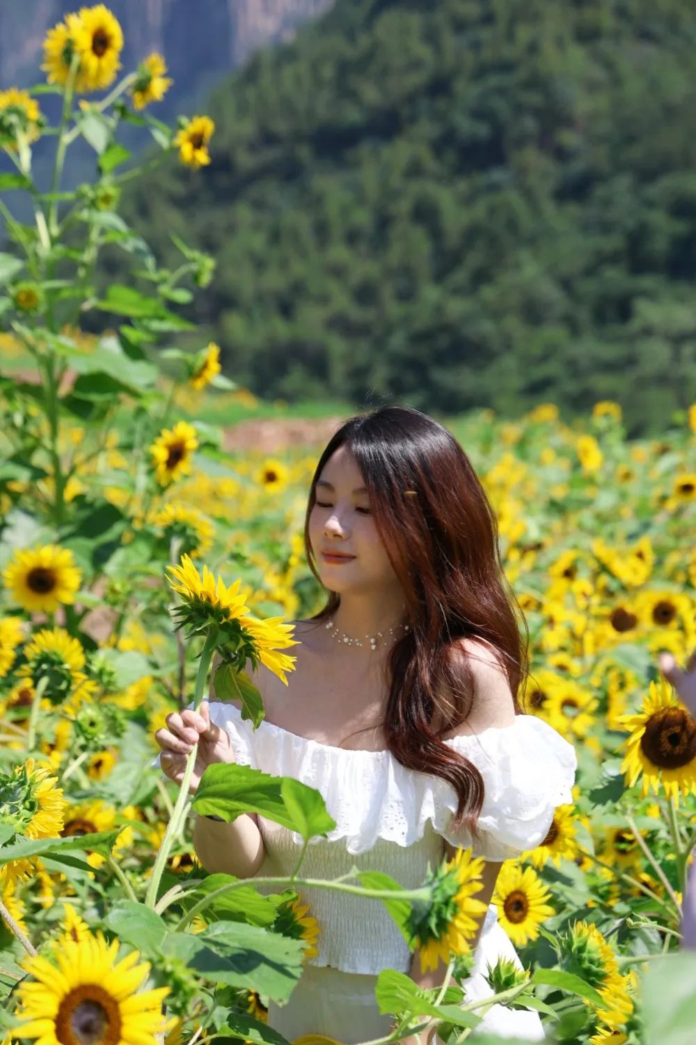 解放天性！新乡南太行亲子游：暑假班结束，带孩子来山水间撒个欢吧！