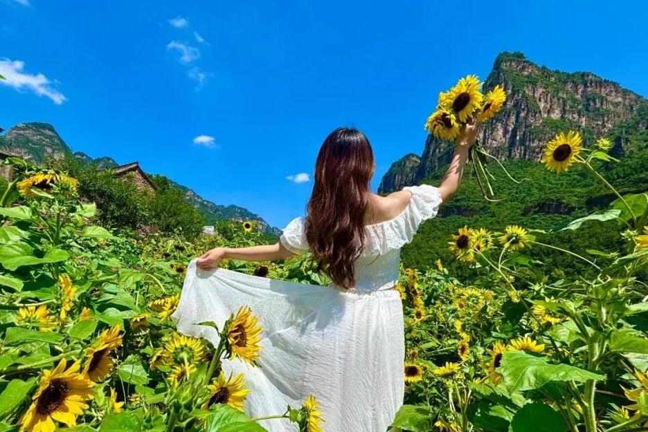 空调房里待久了会发霉——来新乡南太行，让山水给你“充个电”！