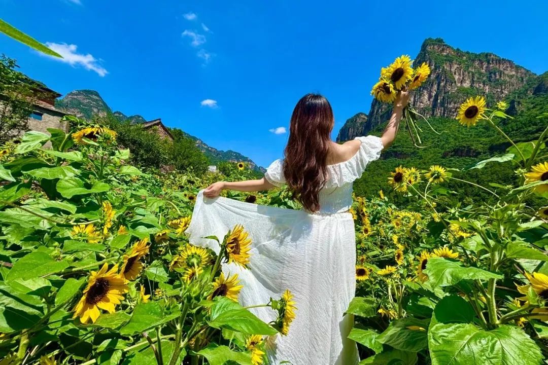 空调房里待久了会发霉——来新乡南太行，让山水给你“充个电”！