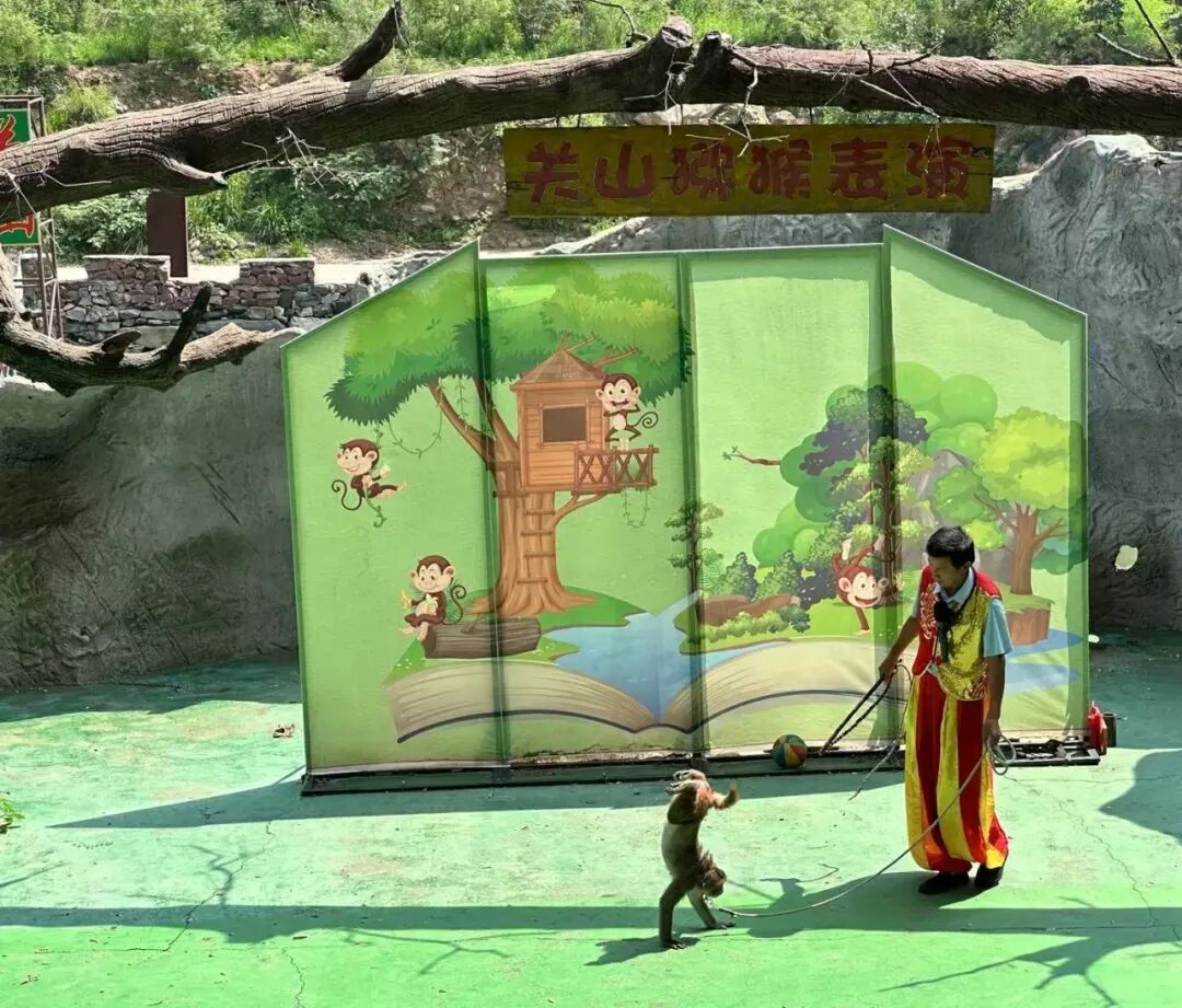 新乡南太行秋季福利上新啦!这份赏秋攻略请收好哟~ 新乡南太行秋季福利上新啦!这份赏秋攻略请收好哟~