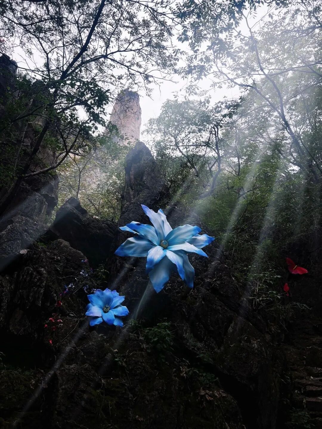 新乡南太行秋季福利上新啦!这份赏秋攻略请收好哟~ 新乡南太行秋季福利上新啦!这份赏秋攻略请收好哟~