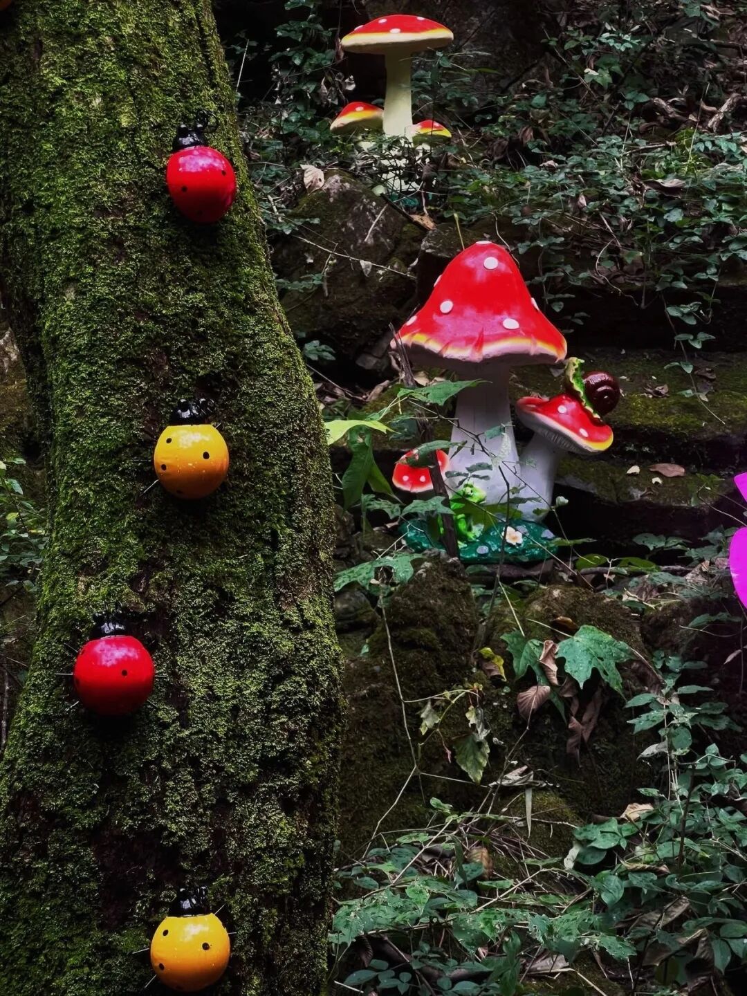 新乡南太行秋季福利上新啦!这份赏秋攻略请收好哟~ 新乡南太行秋季福利上新啦!这份赏秋攻略请收好哟~