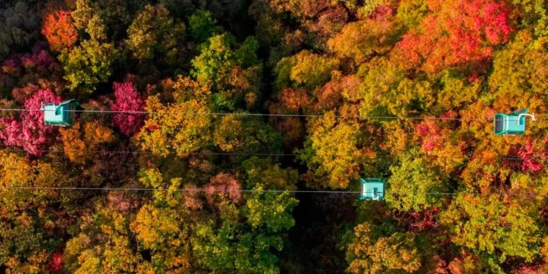 新手到达人“通吃”！新乡南太行「轻+深」双模式徒步，秋景全解锁