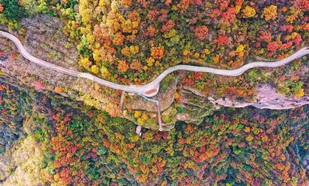 新手到达人“通吃”！新乡南太行「轻+深」双模式徒步，秋景全解锁