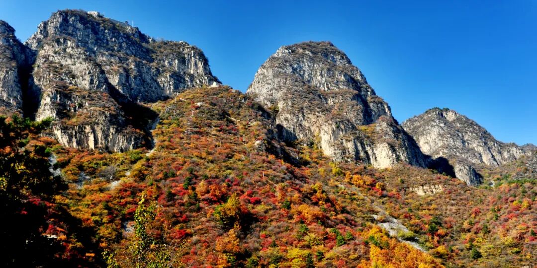 秋染新乡南太行！错过再等一年的秋日盛景，这趟打卡值爆了