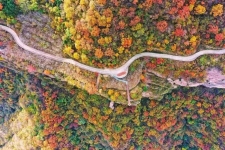 秋染新乡南太行!错过再等一年的秋日盛景,这趟打卡值爆了