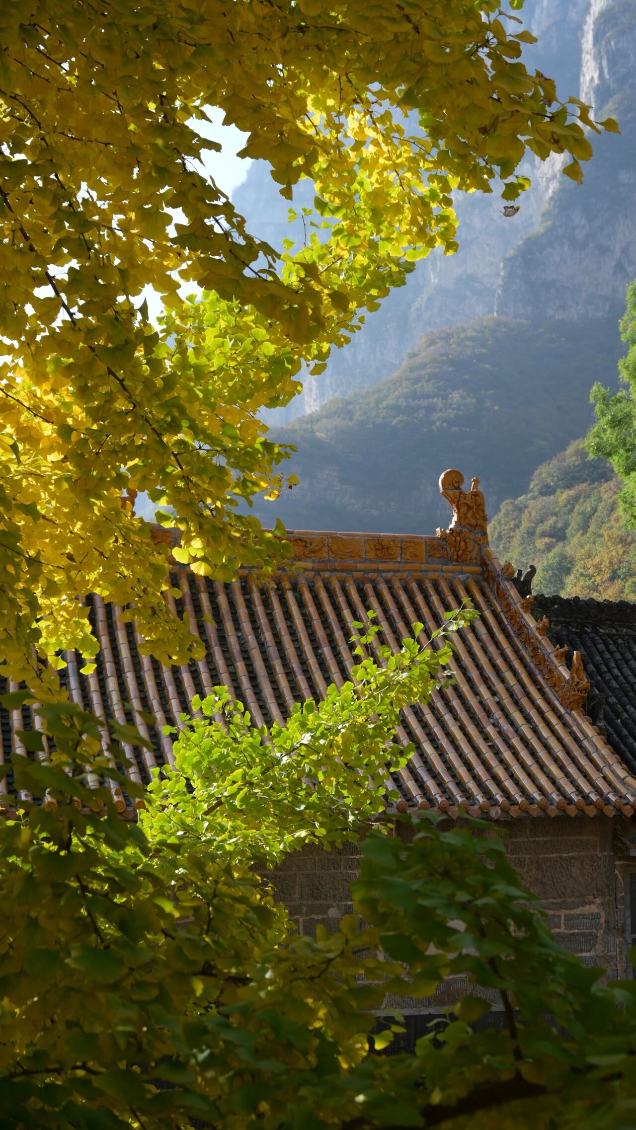 新乡南太行深秋揽胜地图全公开！闯入五彩童话世界，这6条线路美到封神！