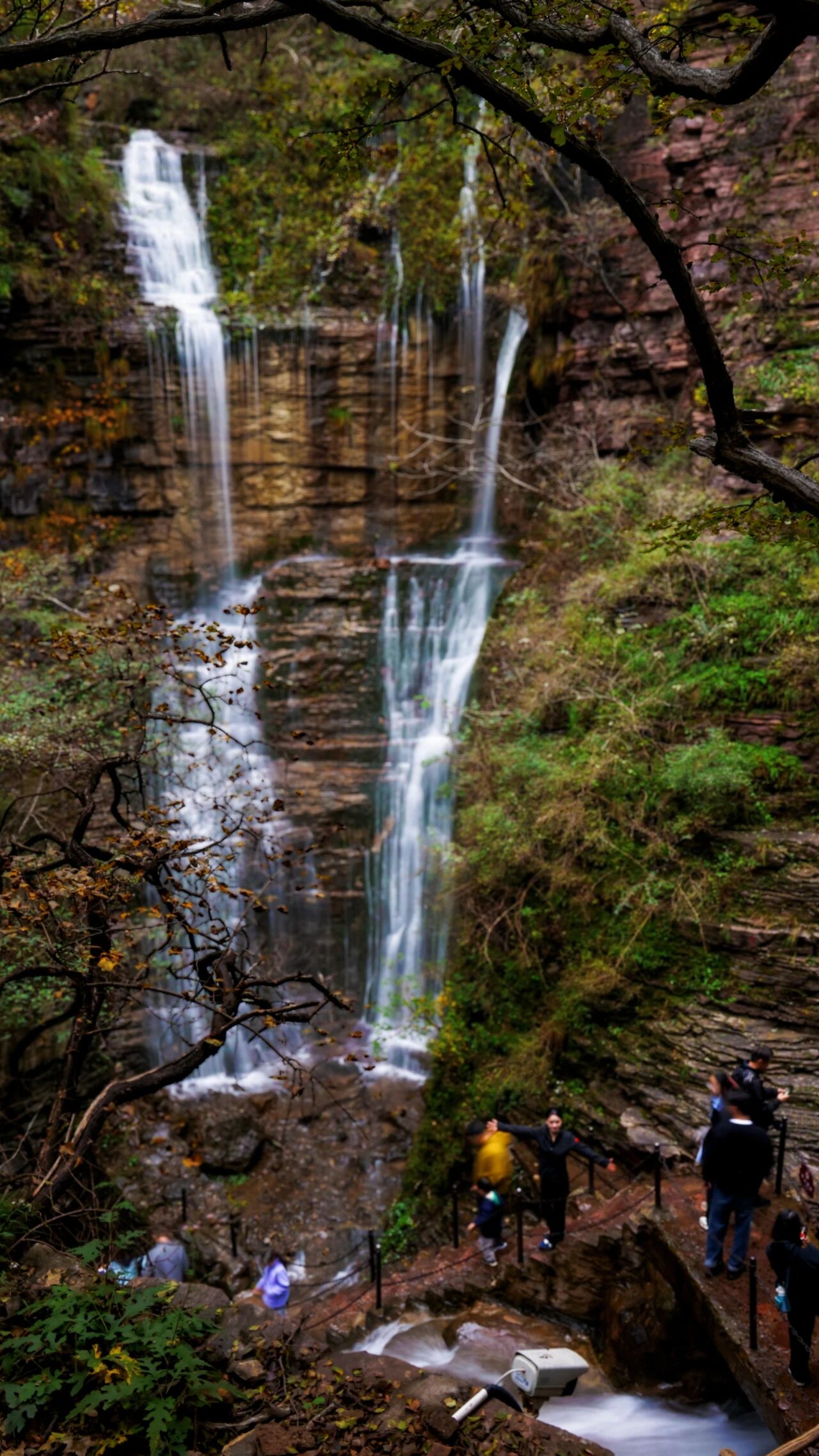 新乡南太行深秋揽胜地图全公开！闯入五彩童话世界，这6条线路美到封神！